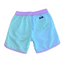 2 PANEL BOARDSHORTS BLUE / MINT